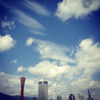 �{���N���̓R�[�q�[�������D��